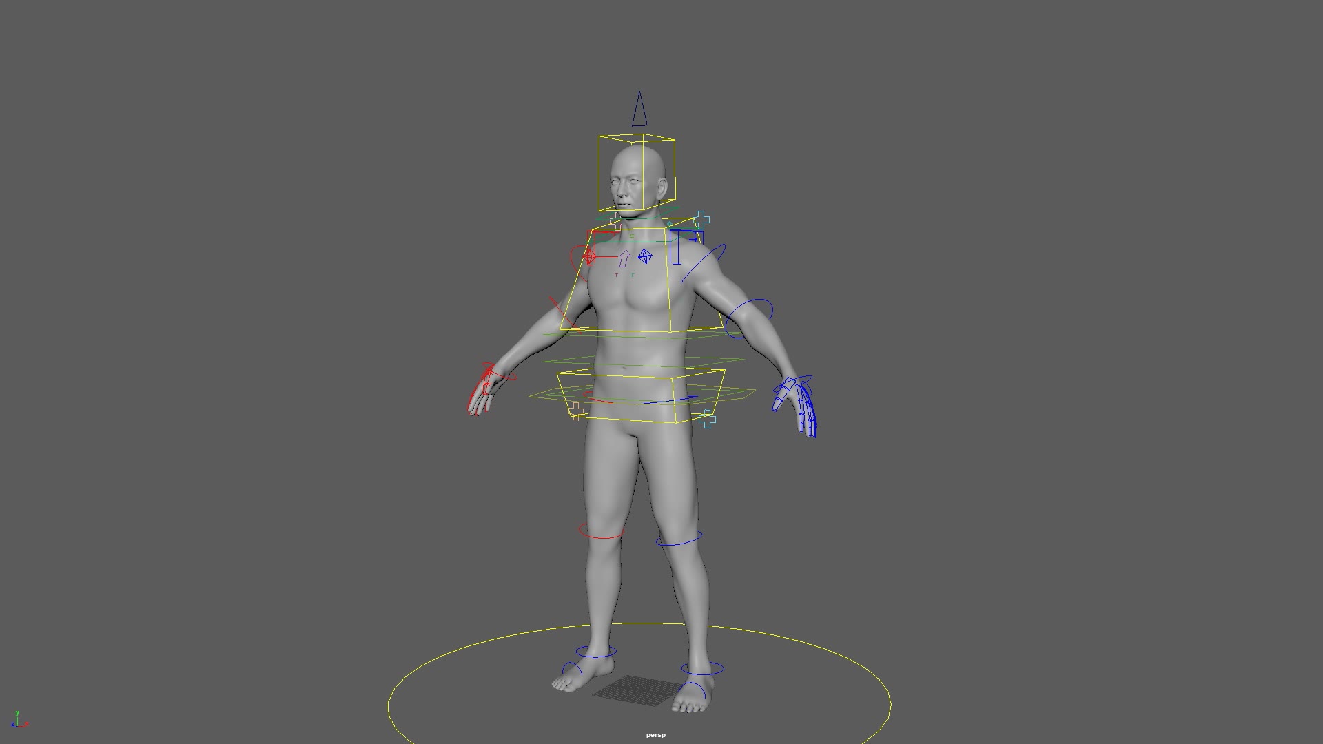 Human Rigging Geo